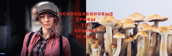 бутират Белокуриха